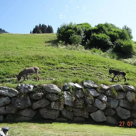 Hotell Les Bernards Praz-sur-Arly