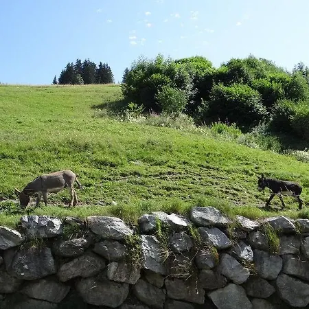 Les Bernards Otel Praz-sur-Arly