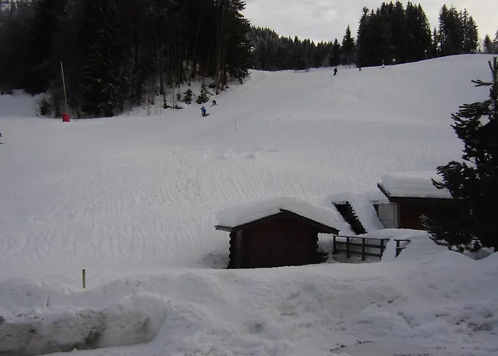 Les Bernards Praz-sur-Arly